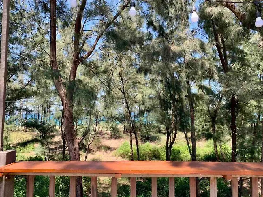 Skp Wild Sea Homestay 호이안