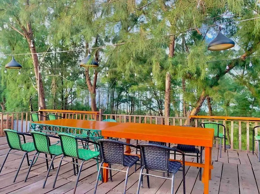 Skp Wild Sea Homestay 会安 越南