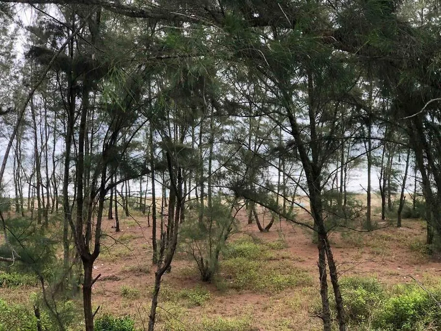 Skp Wild Sea Homestay 会安 越南